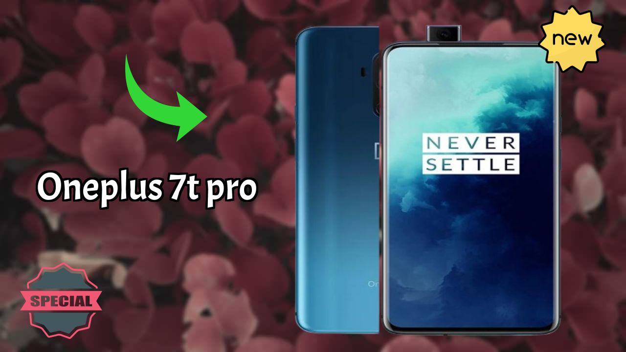OnePlus 7T Pro Camera Quality: 48 MP + 16 MP + 8 MP Rear Camera Photo Review