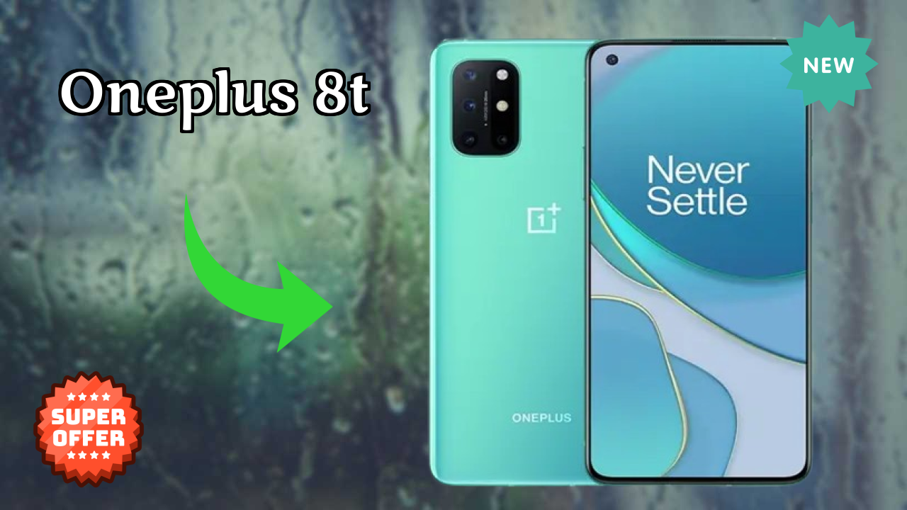 OnePlus 8T Camera Test: 48 MP + 16 MP + 5 MP + 2 MP Rear Camera Sample Shots
